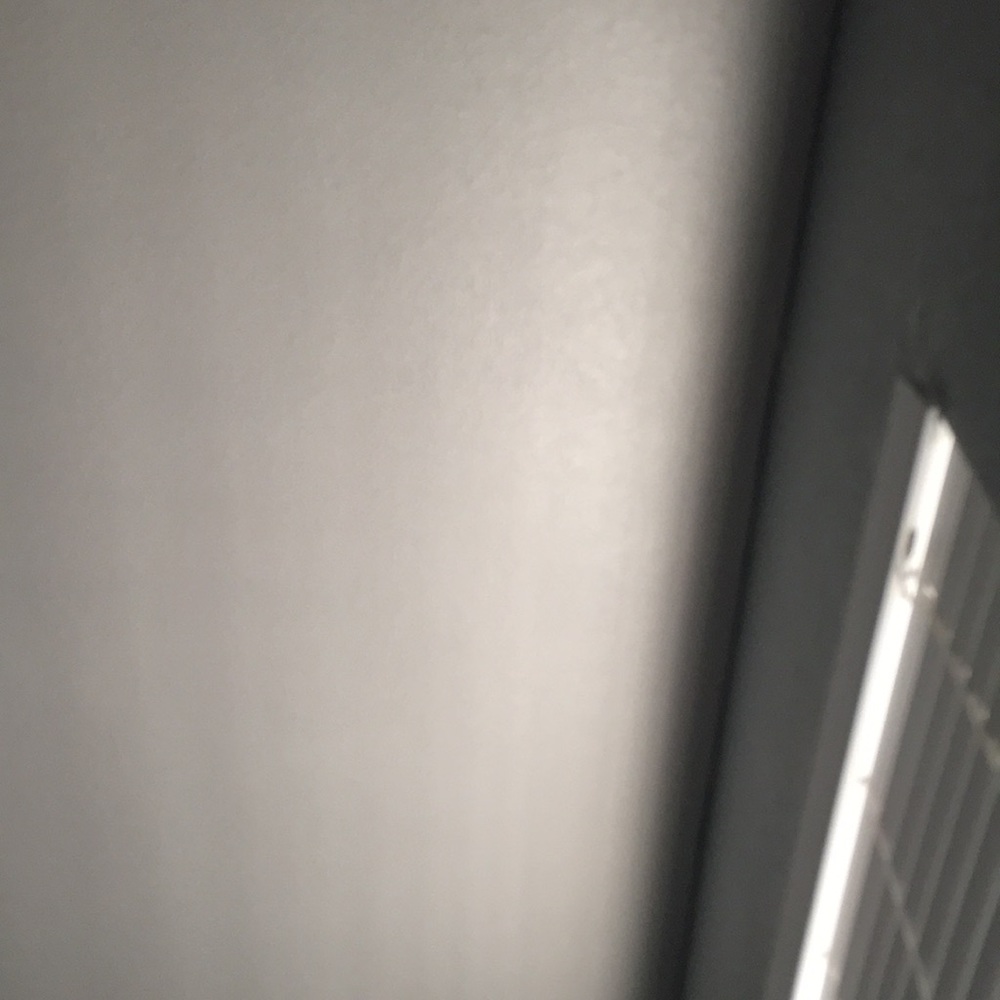 Meet your Posher, Ssavanna